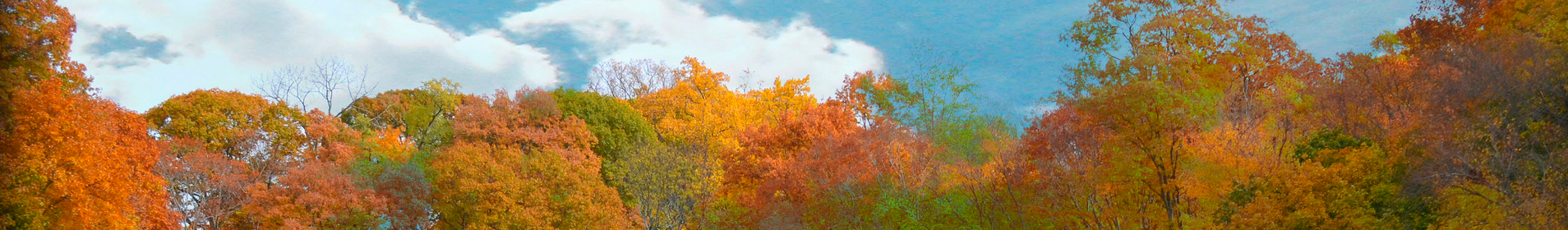 autumn-leaves.png