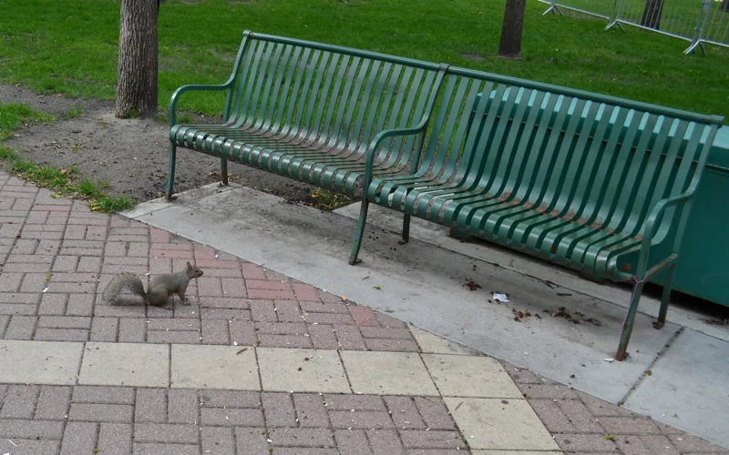 Photo by Nancy Robinson