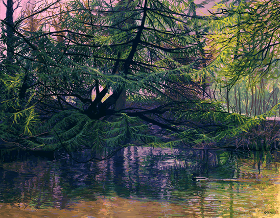 tranquil.gif