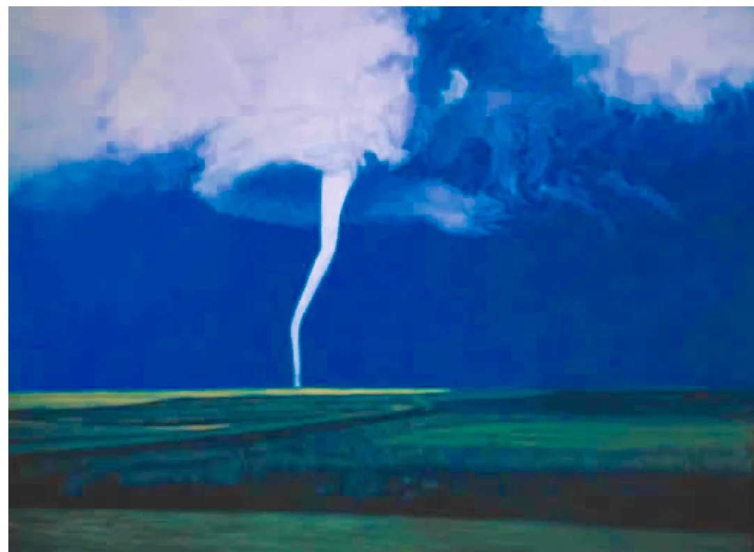 "Crop Damage", 11"x17"print $20