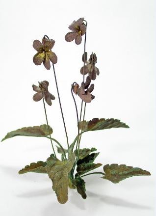 SHOTA SUZUKI " Violet"