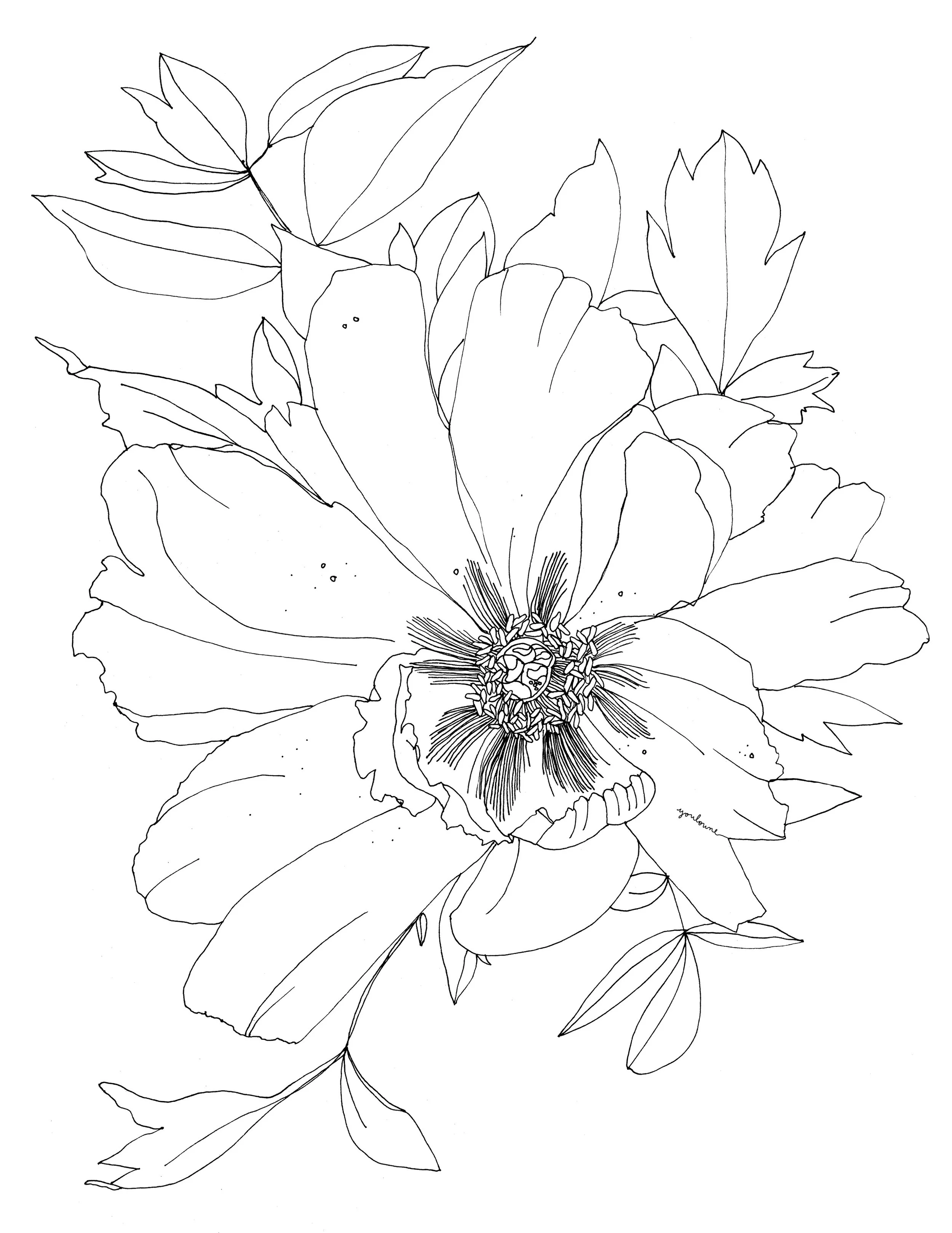 flower.jpg