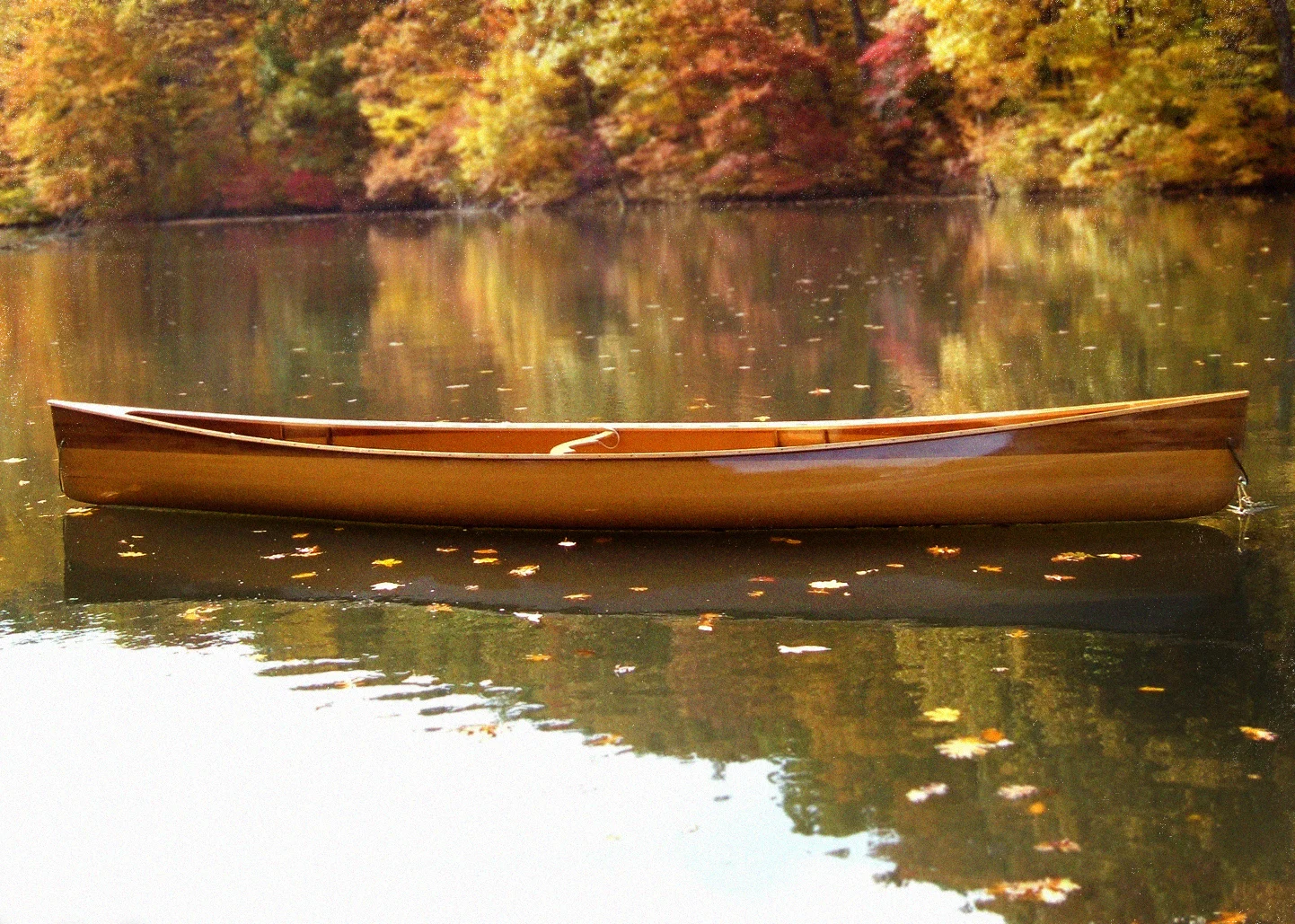 headerhome4.jpg