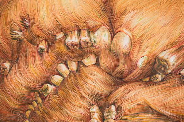 11-contemporary-art-winnie-truong-drawing-teeth-detail.jpg