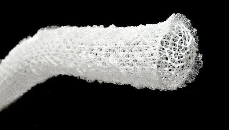 Hex%2B91_ANM_Glass_sponge_1%2B%2528public%2Bdomain%2529.jpg