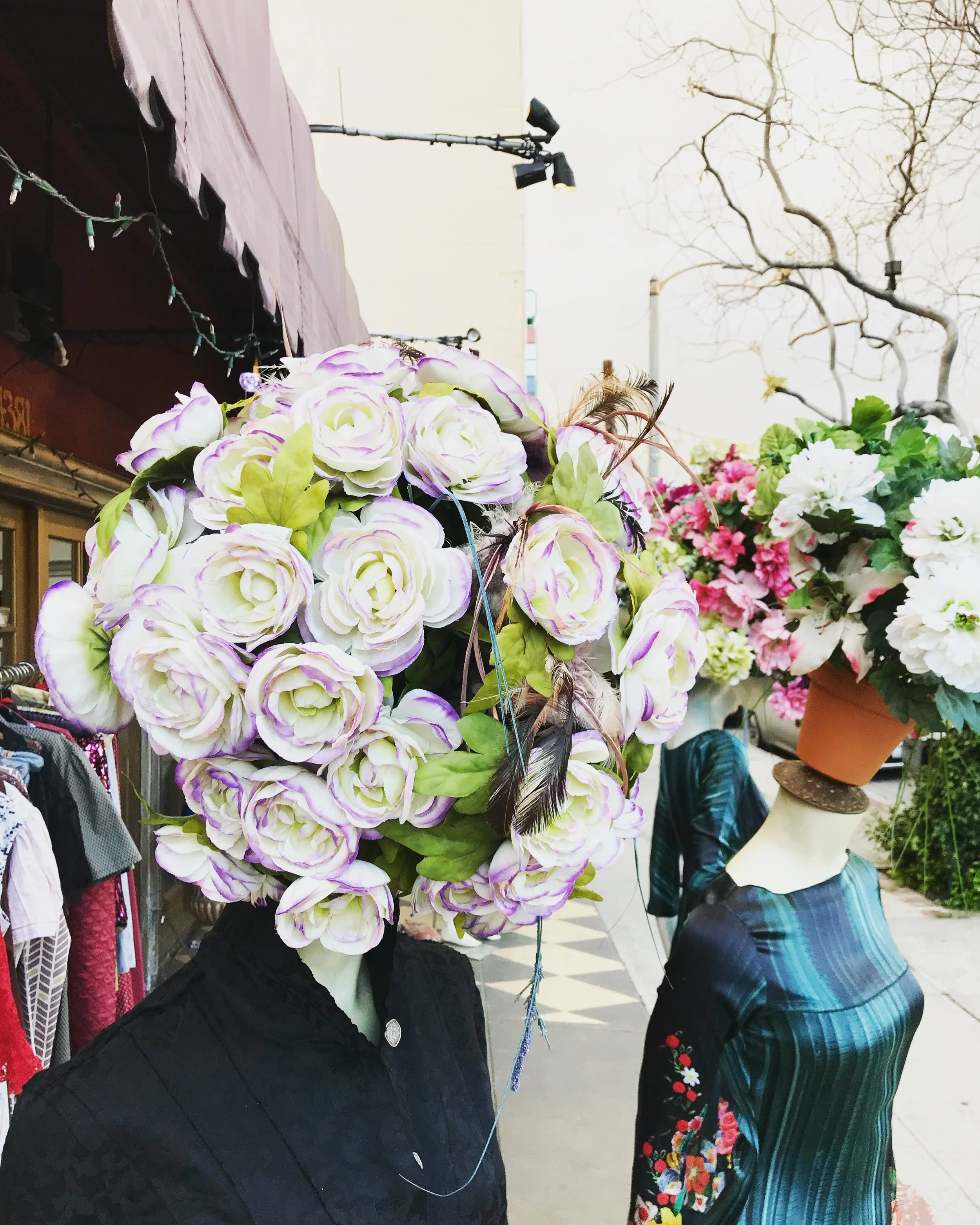 1 Flower Head Photo.JPG