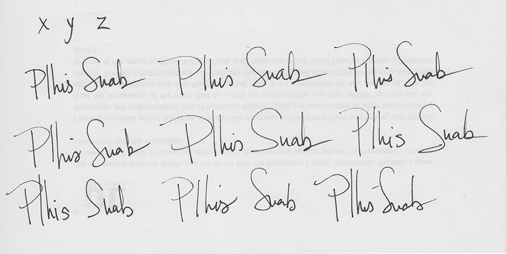 Can you guess which one received the honor of being the official "Plhis Suab" title font?