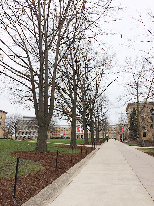 Years later, I now see your beauty, UW-Madison. Just look at Bascom Hill. 