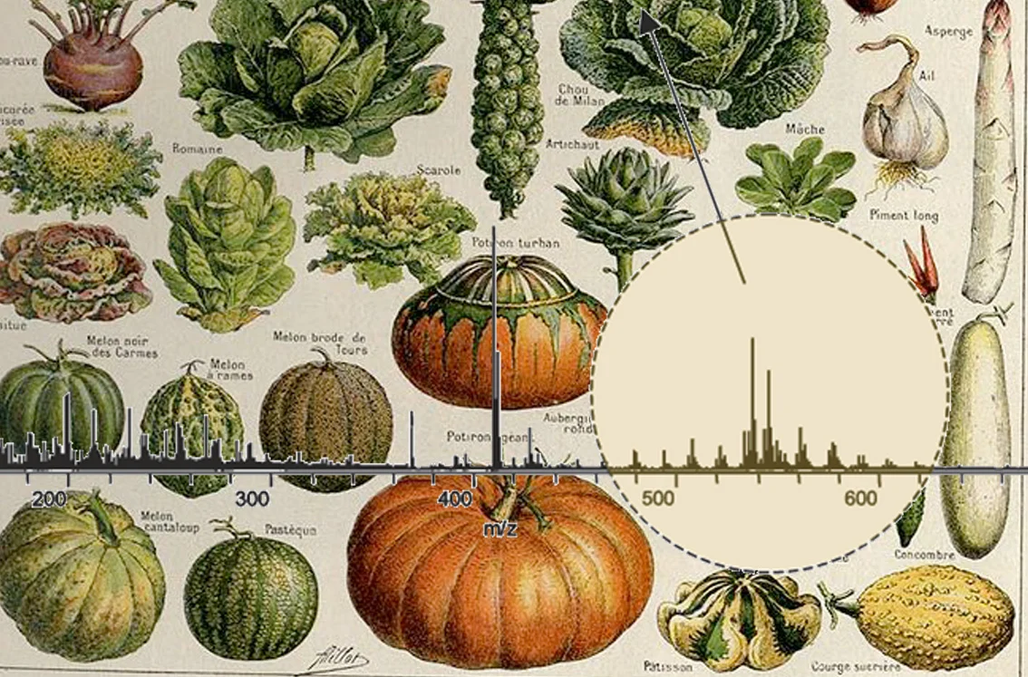 Ripe Data