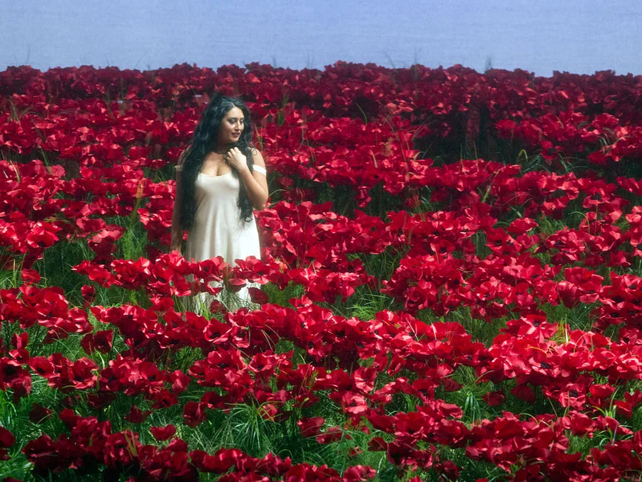 Mezzo-soprano Anita Rachvelishvili sings amid a massive field of poppies in a Metropolitan Opera production of Borodin'sPrince Igor. Cory Weaver/Metropolitan Opera
