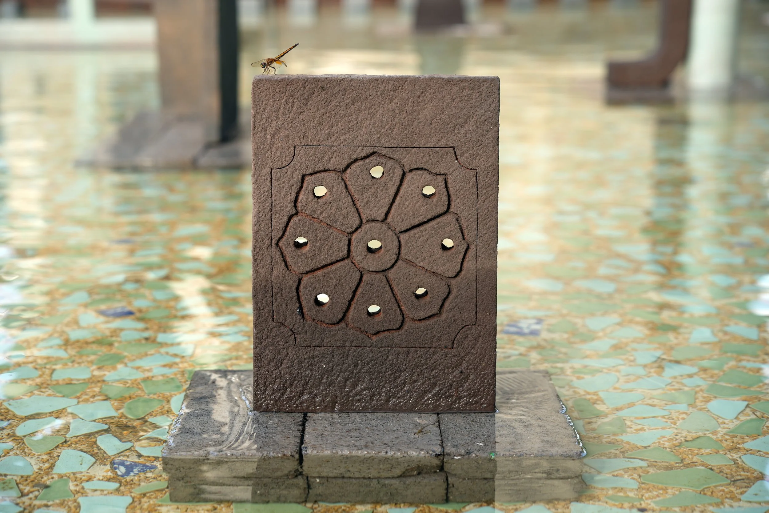 Illuminated by the Moon