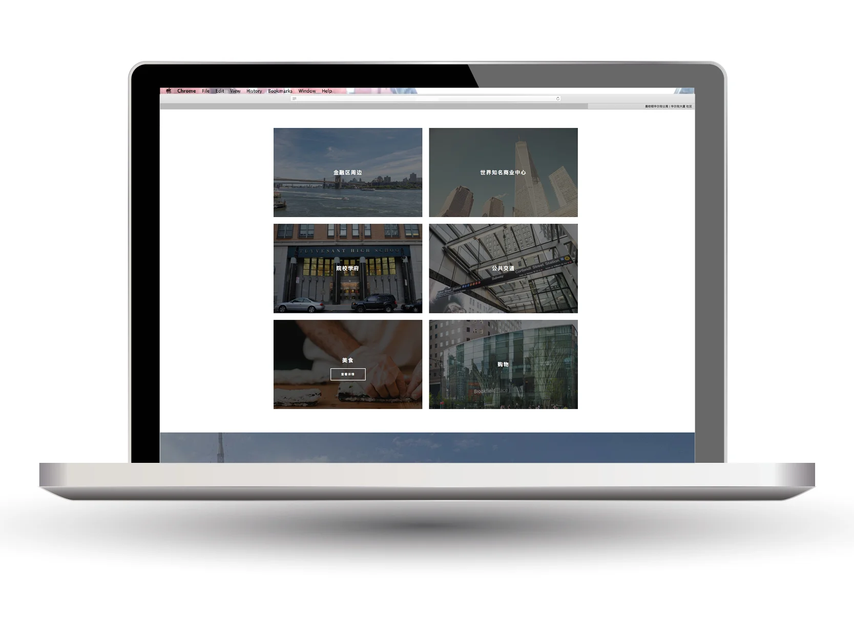 WST_Website12.jpg