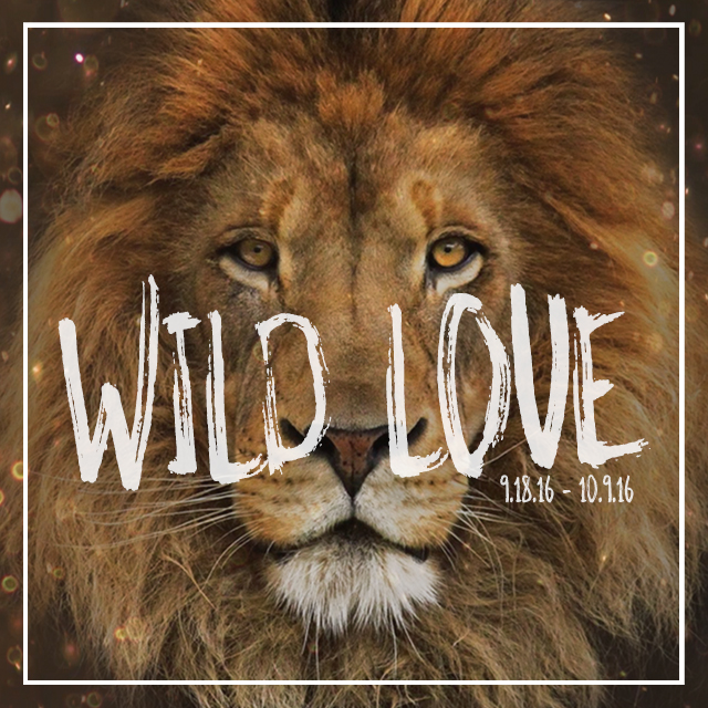 Wild Love | Part 1 | He Loves Me... He Loves Me Not...