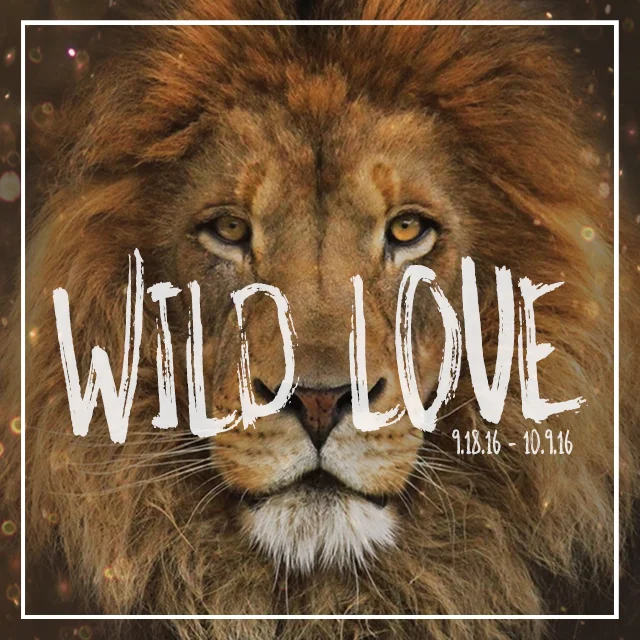 Wild Love | Part 3 | Overloaded
