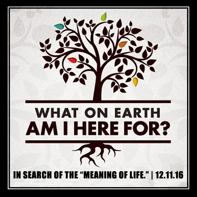 What On Earth Am I Here For? | 12.11.16