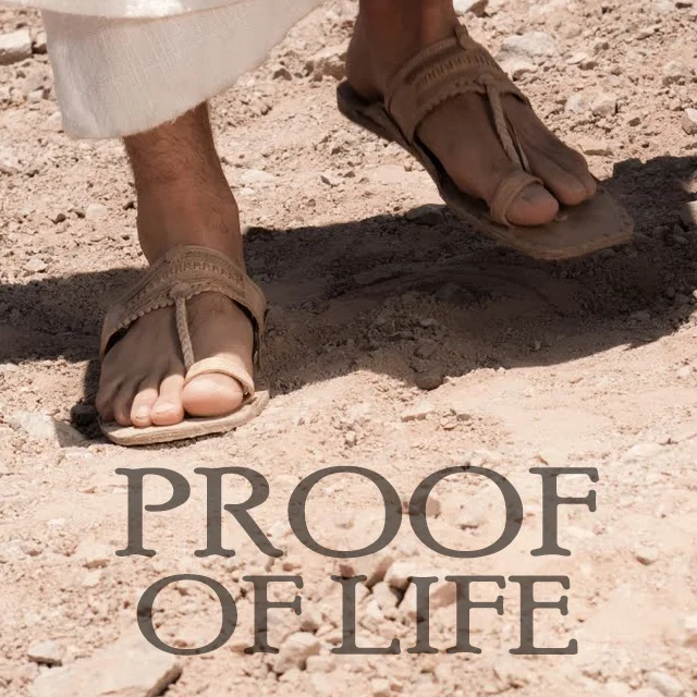 PROOF OF LIFE: The Joy of Being Known