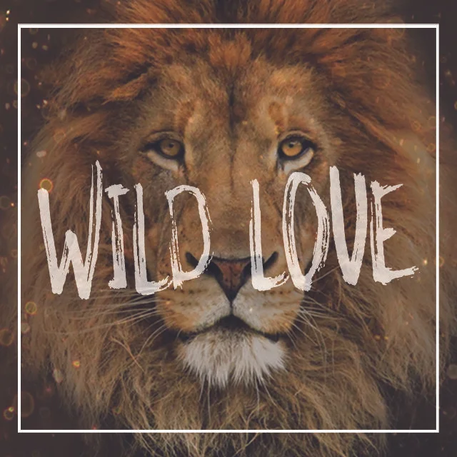 Wild Love, Week 1: He Loves Me, He Loves Me Not //  David Decker 