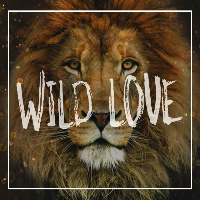 Wild Love, Week 4: Energizing Approval 