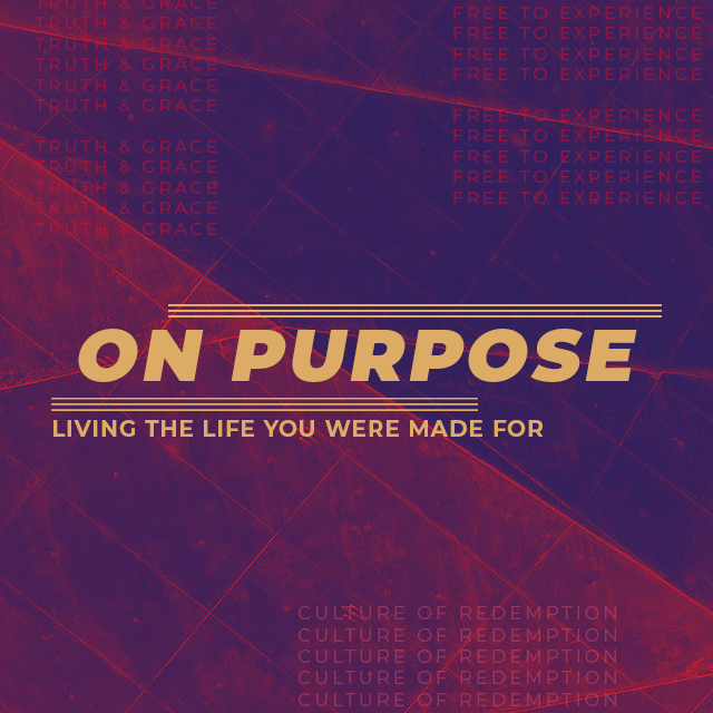 ON PURPOSE, Part 2: Freedom to Experience