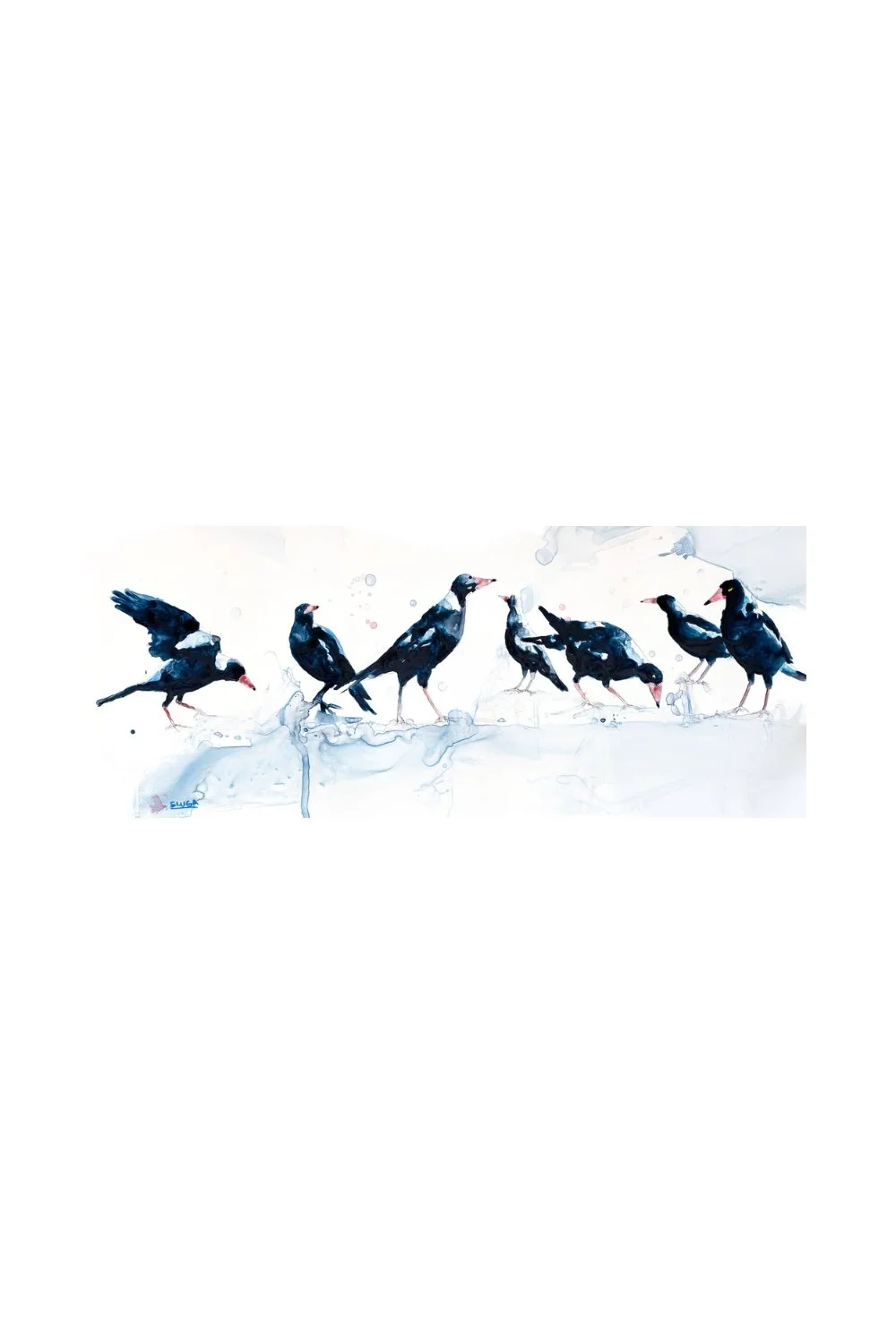 the-magnificent-seven-magpies-watercolour-print-charles-sluga-gallery.jpg