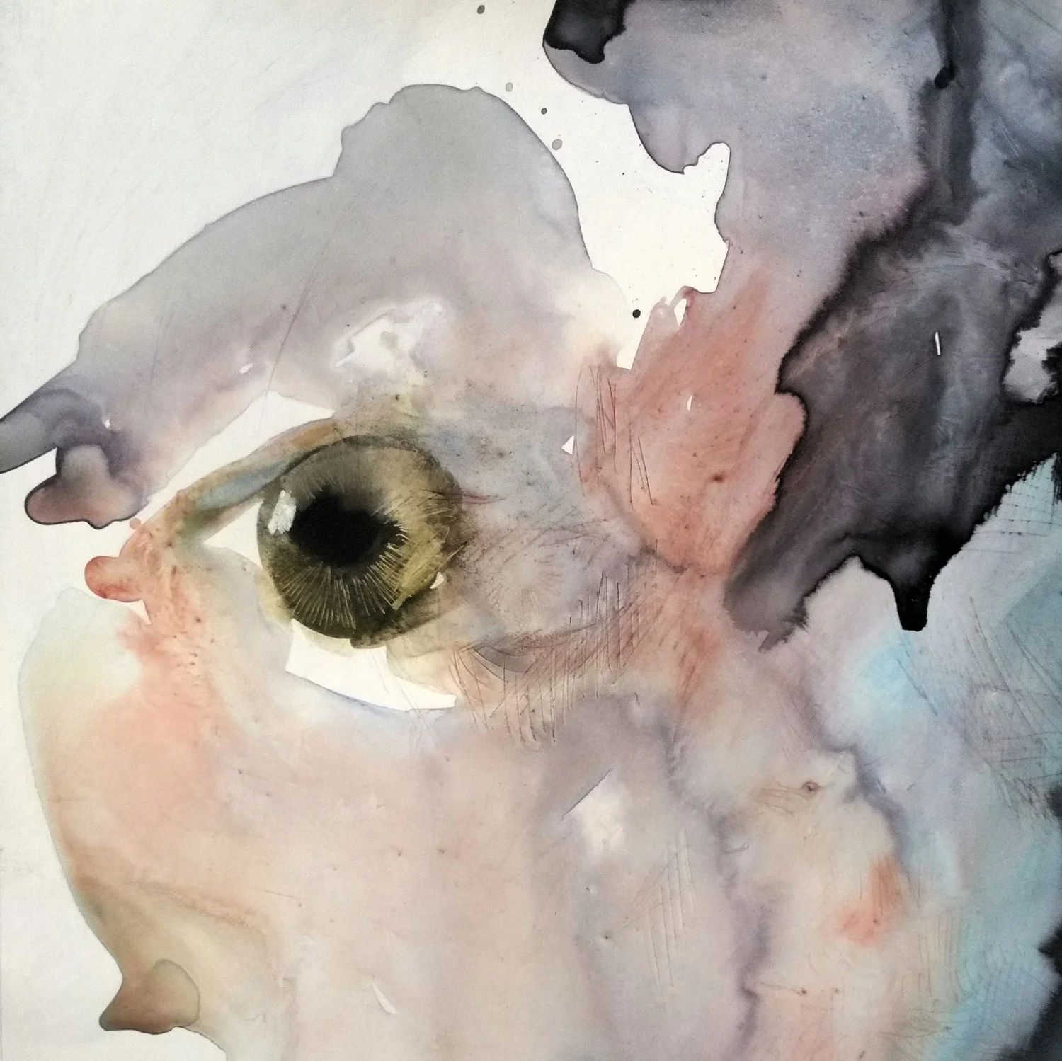 eye.jpg
