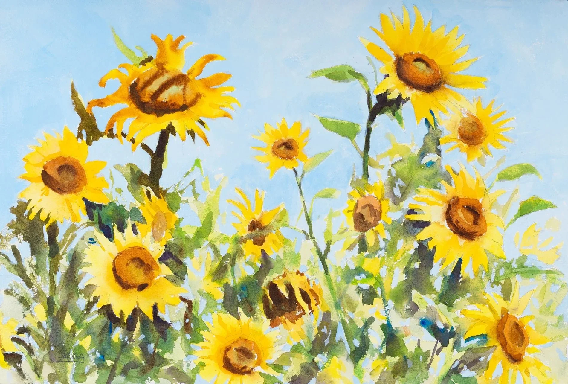 SUNFLOWERS.jpg