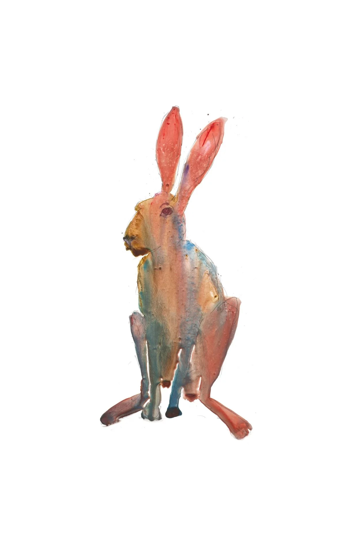 what-hare-watercolour-print-charles-sluga-gallery.jpg