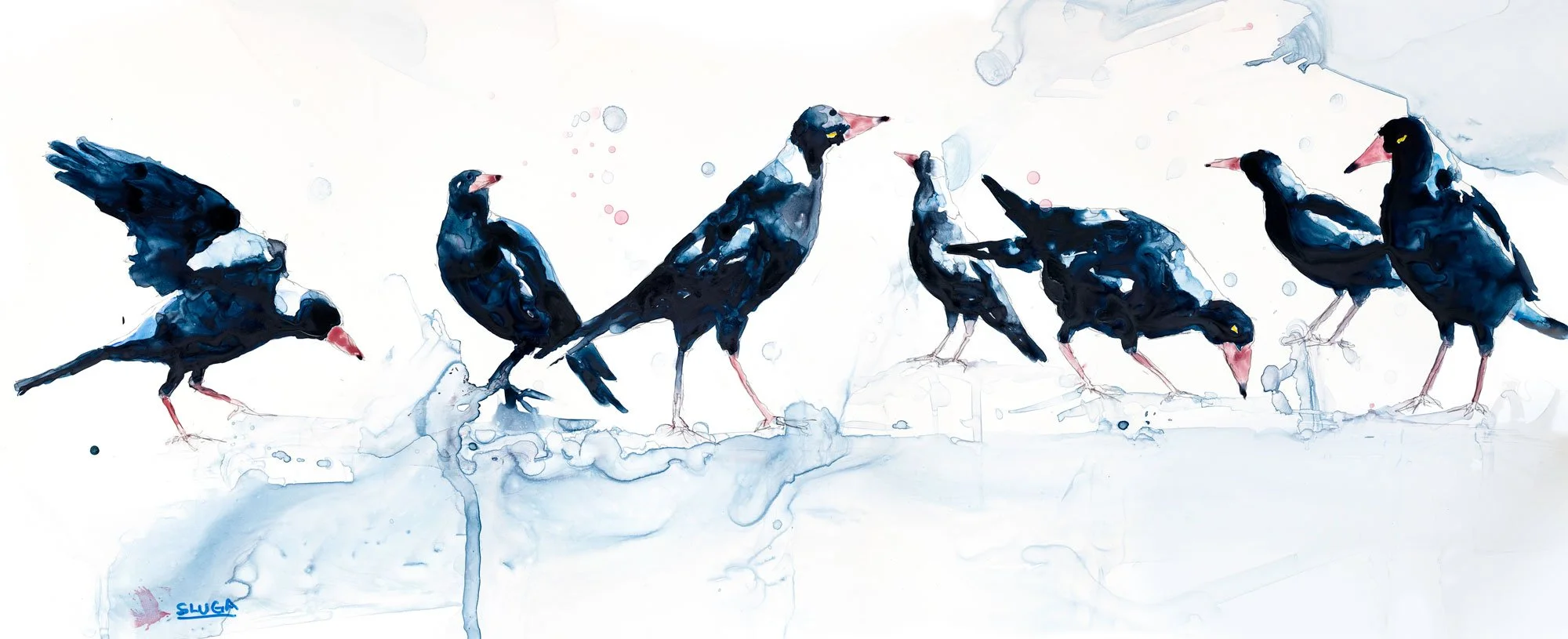 the-magnificent-seven-magpies-watercolour-print-charles-sluga.jpg