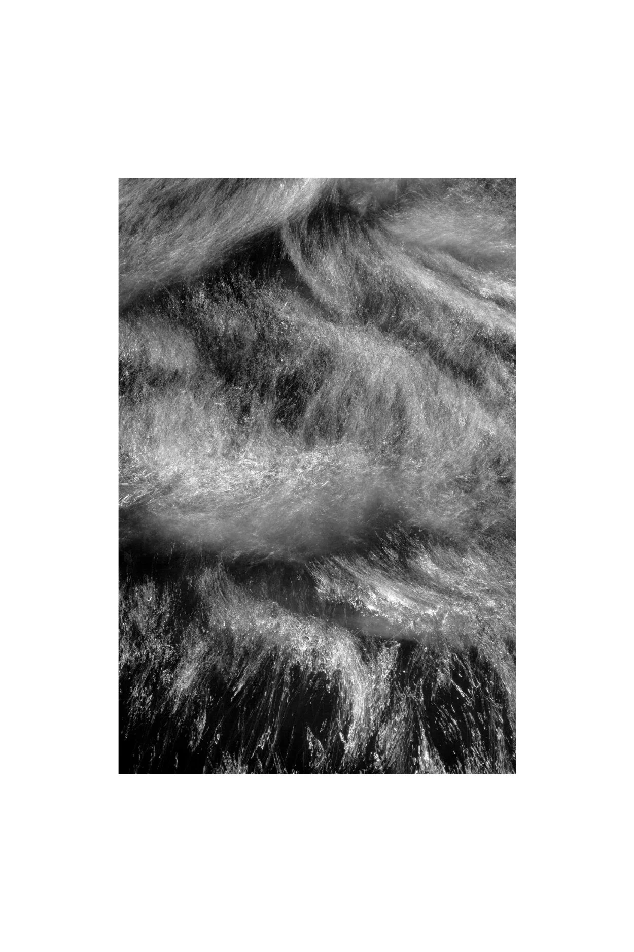 Entangled - Water & Light Etching Series  | Limited Edition Photograph