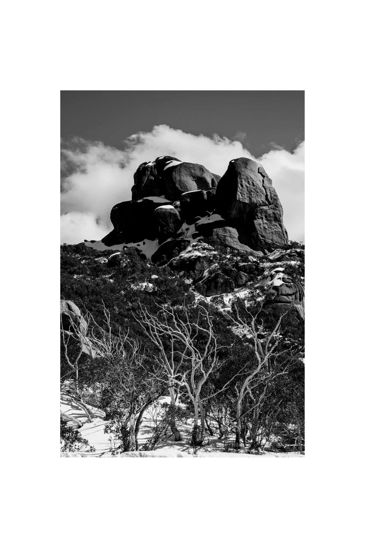 Icing, Mt Buffalo | Photograph