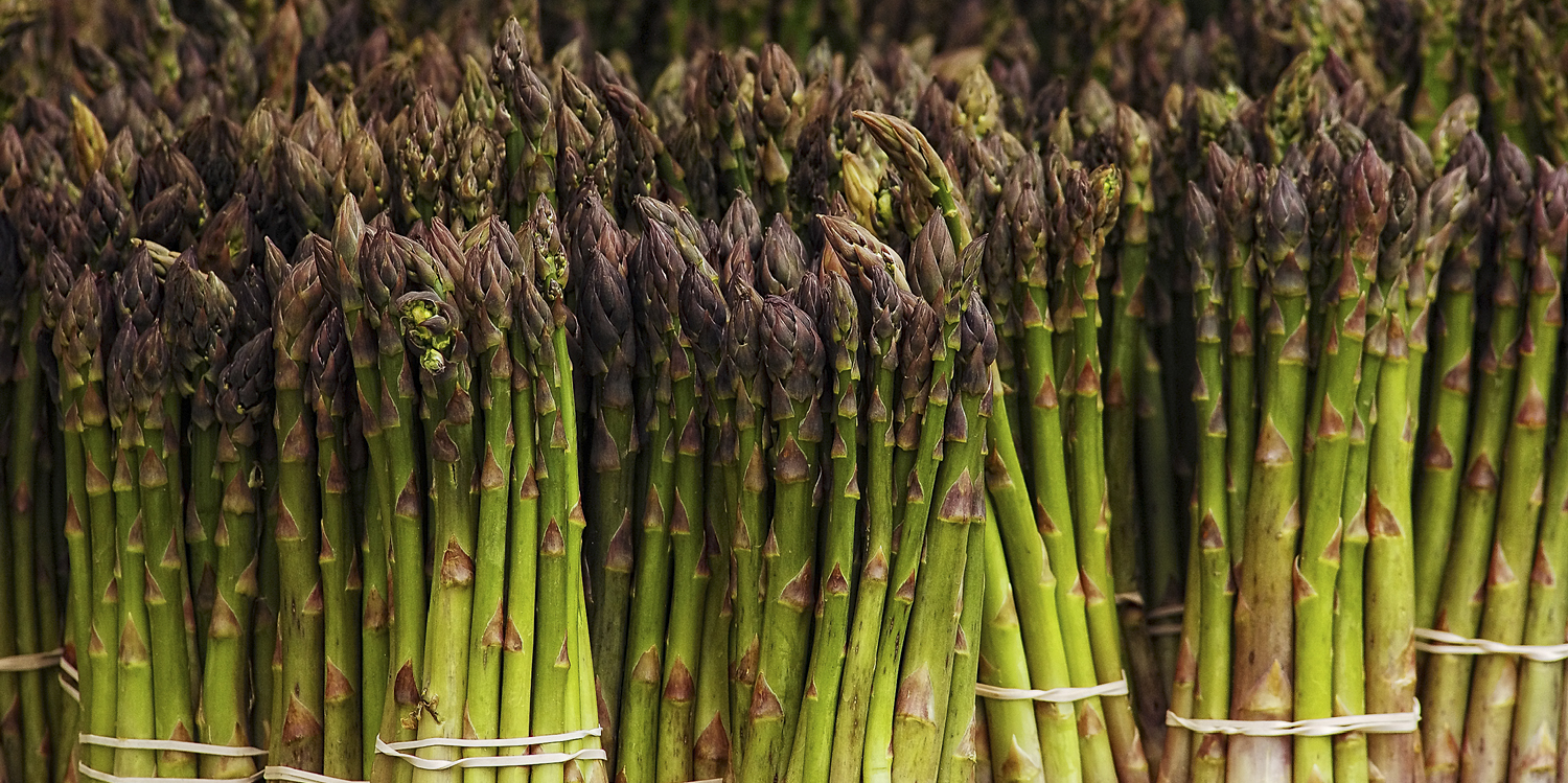 asparagus.jpg