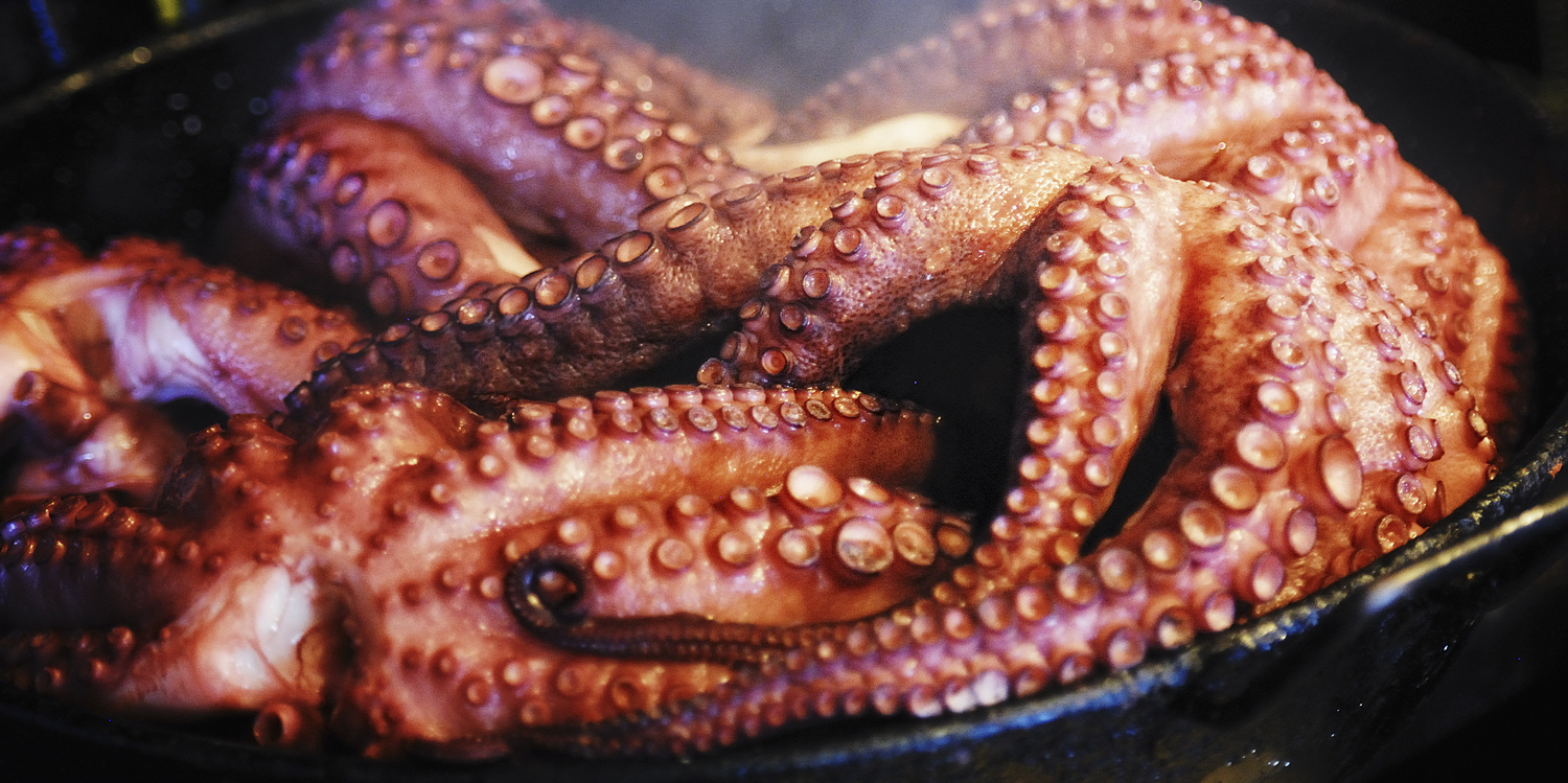 pulpo.jpg