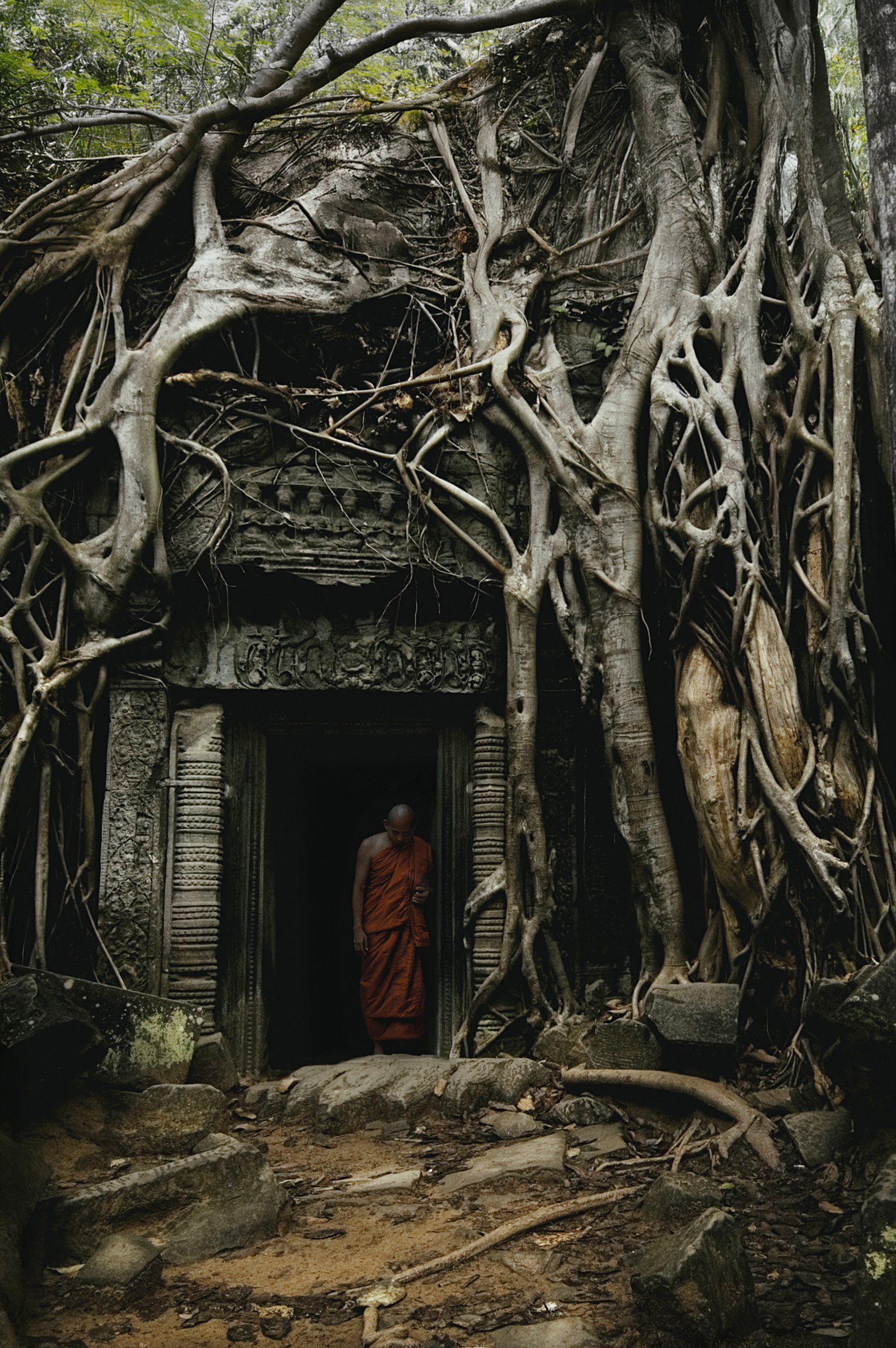 ta-prohm-temple-monk-angkor-wat-cambodia-travel.jpg