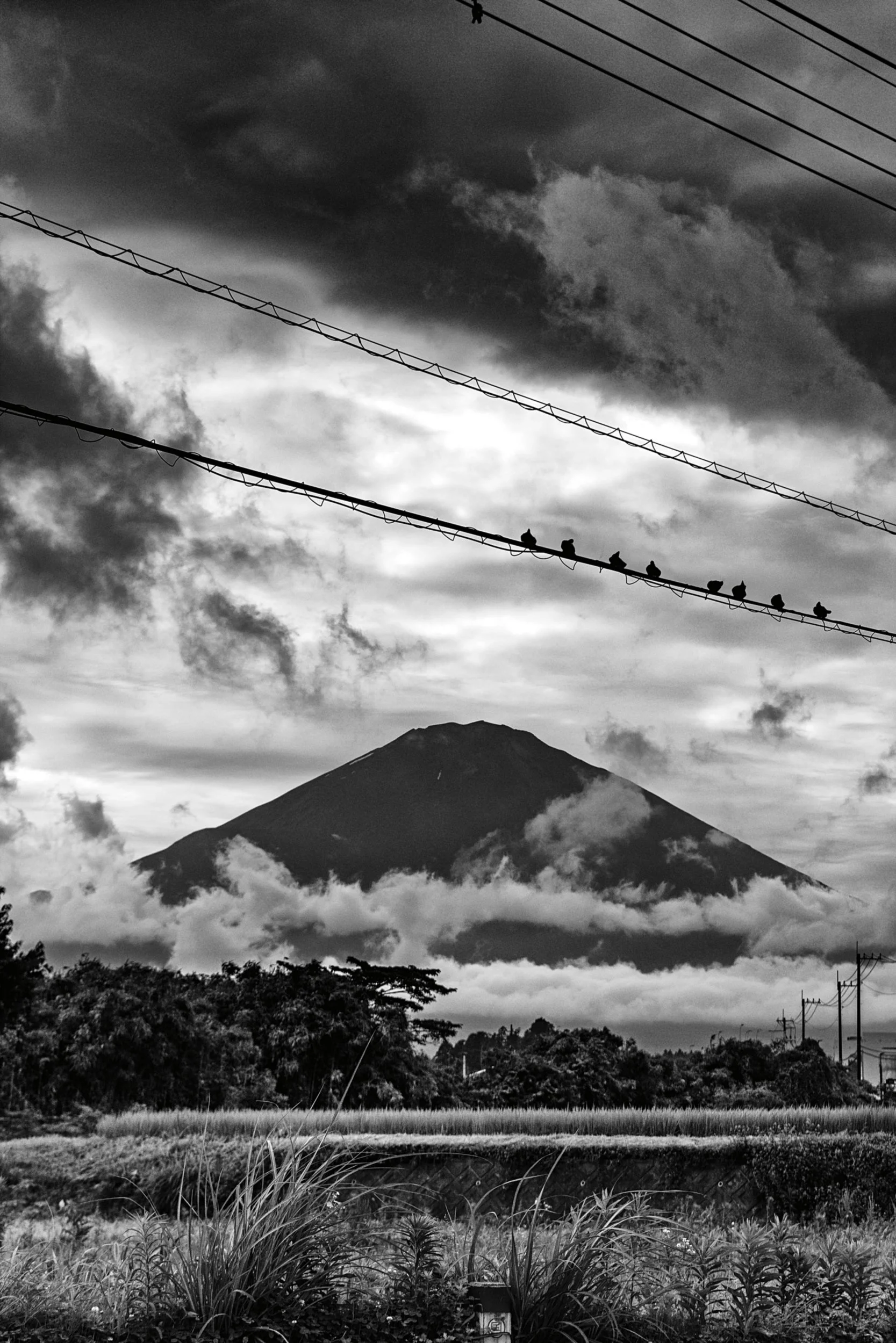 mount-fuji-japan-landscape-birds-on-wire-noir-stormy-sky-bw.jpg