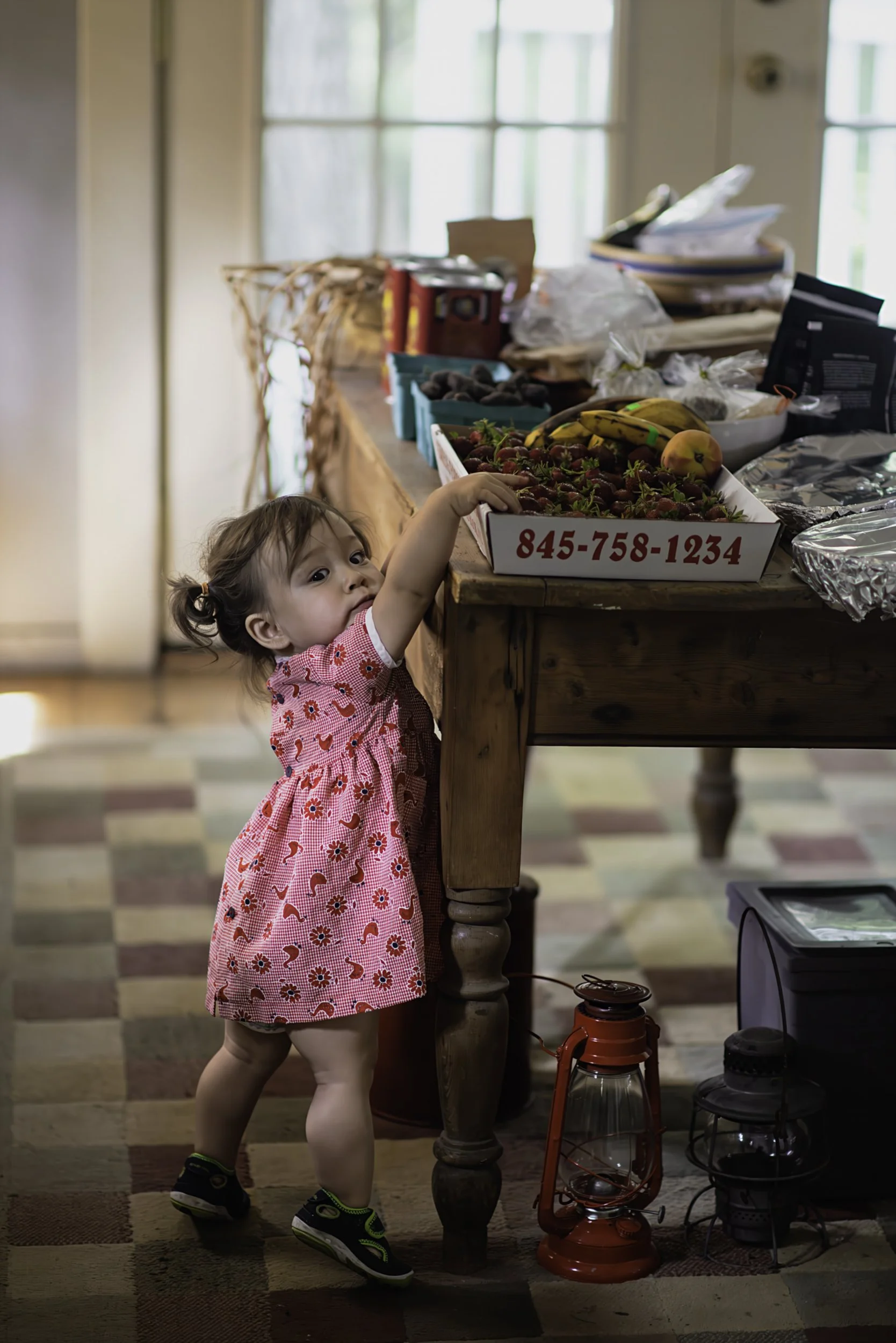 toddler-reaching-strawberries-rustic-farmhouse-table.jpg