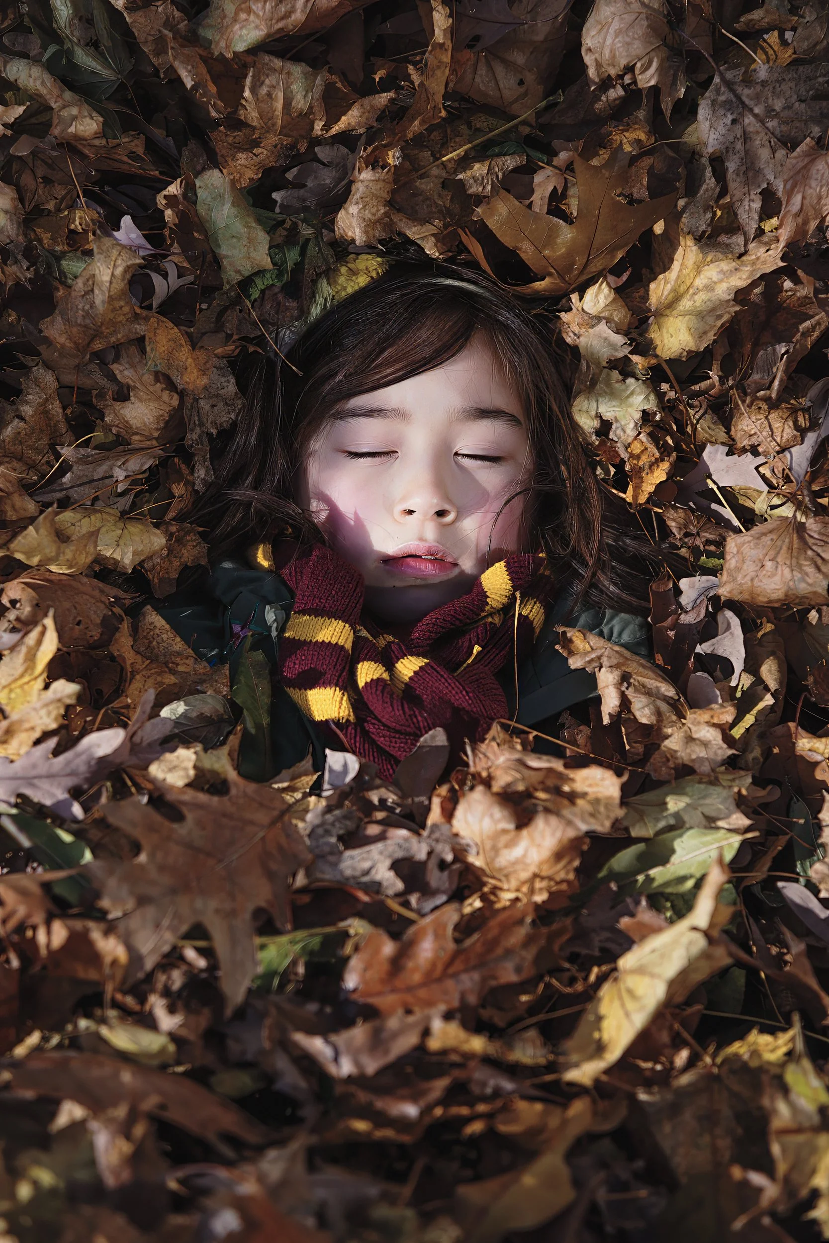 fine-art-childhood-portrait-girl-sleeping-autumn-leaves.jpg