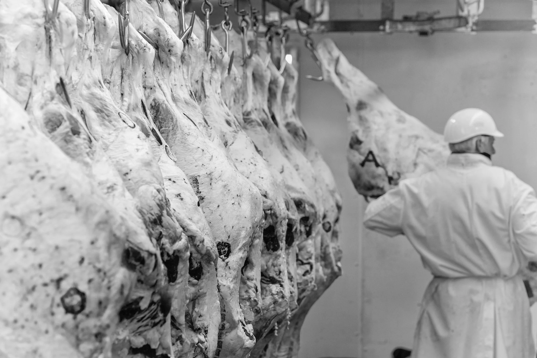 butcher-dry-aging-room-peter-luger.jpg