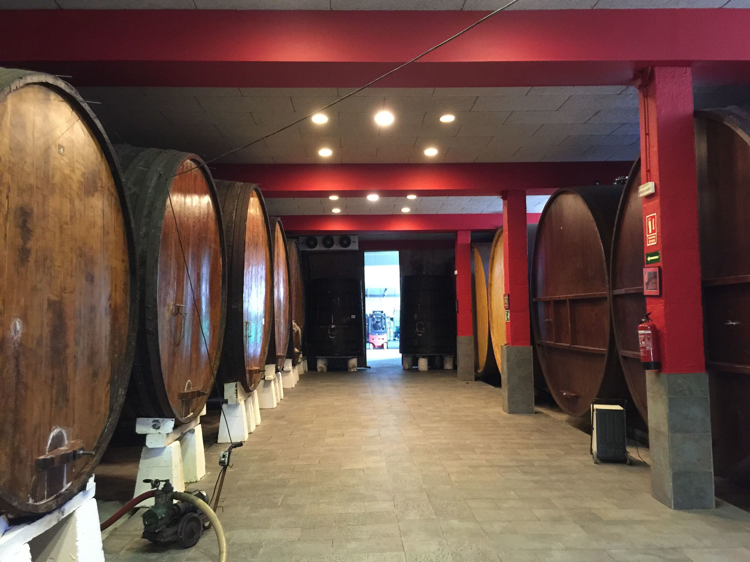 Fermentation Room