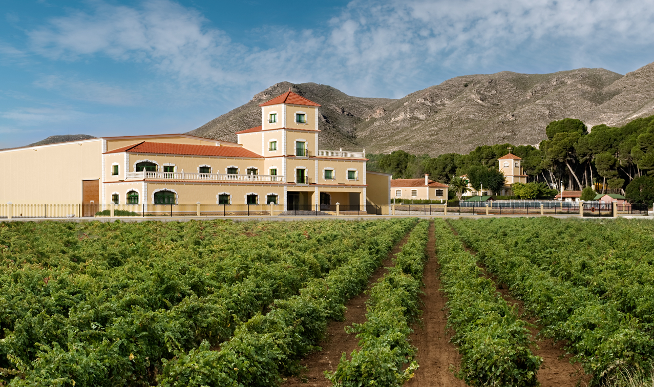 Winery and surrounding vineyards