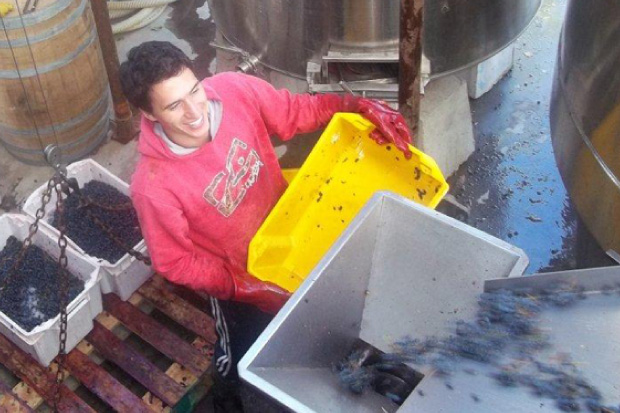 Laureano Gomez processing the harvest.jpg