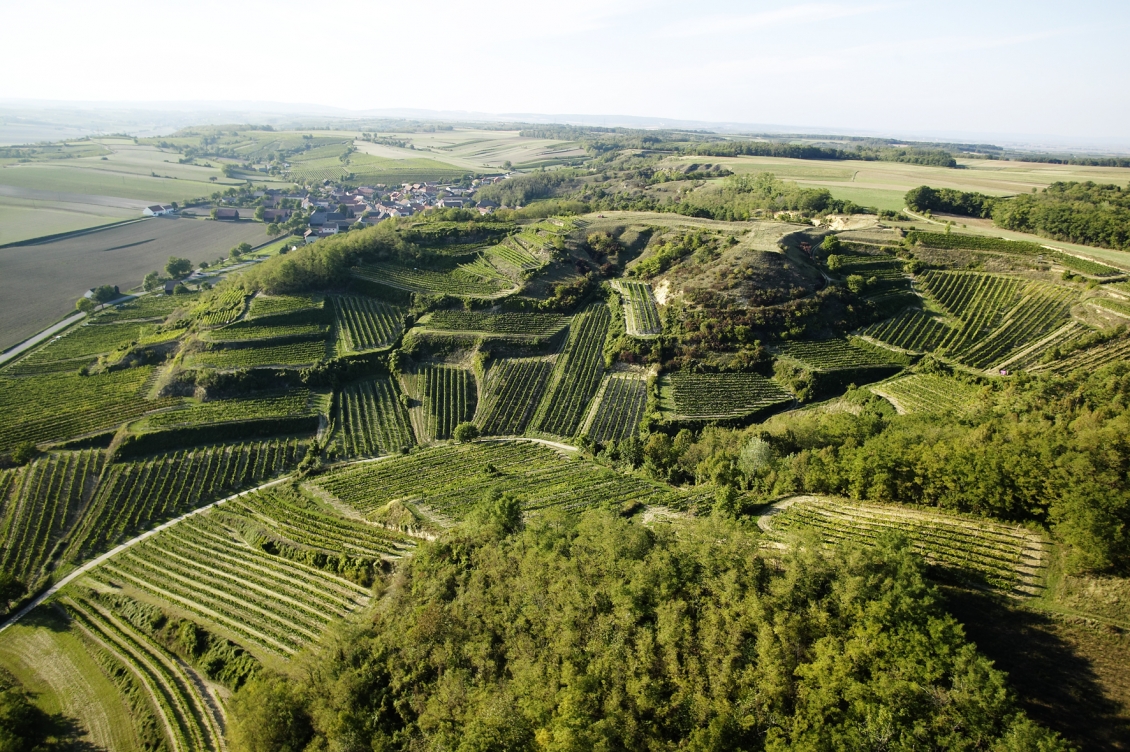 Mehofer vineyards aerial photo.jpg