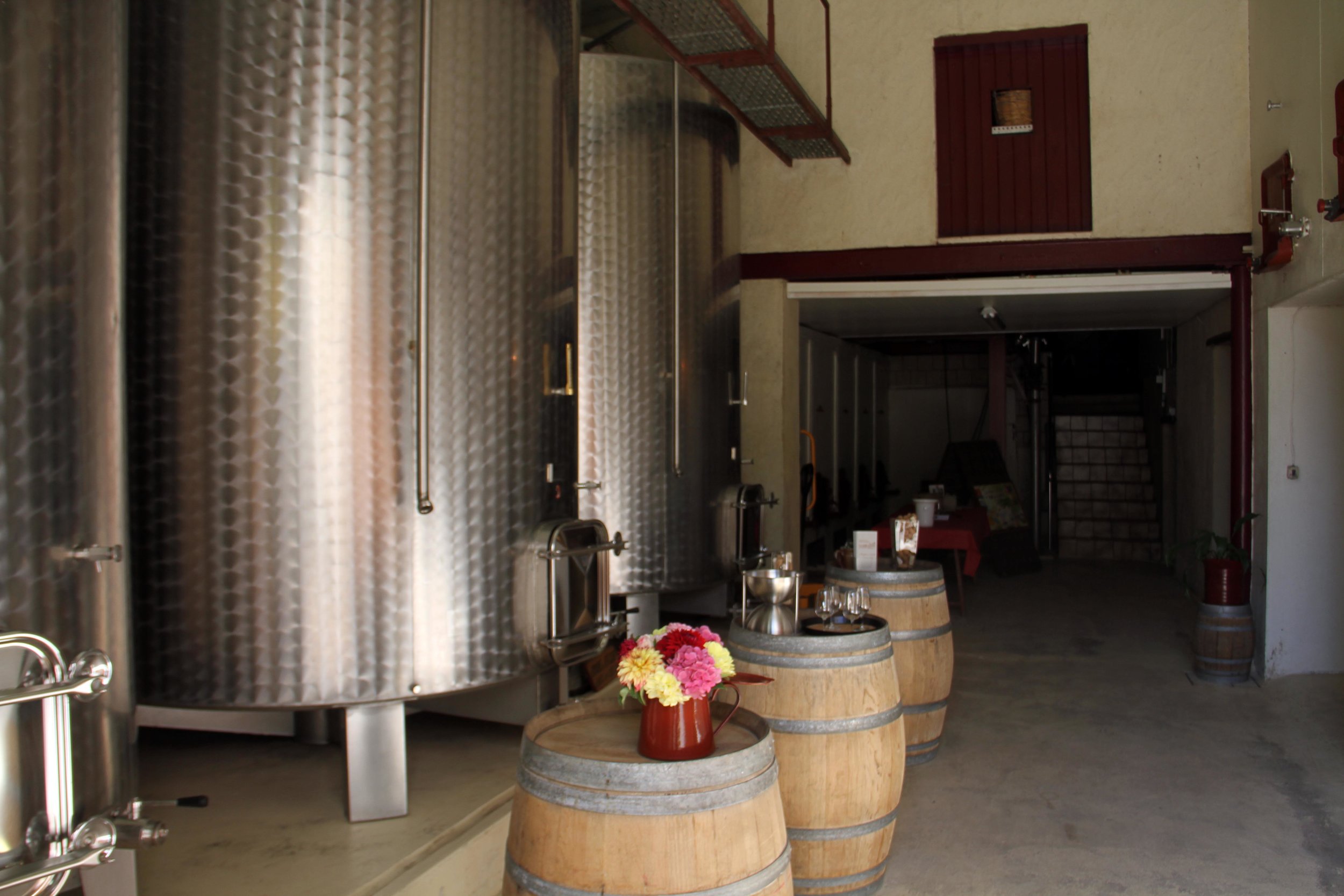 Vignoble Denis cellar room.jpg