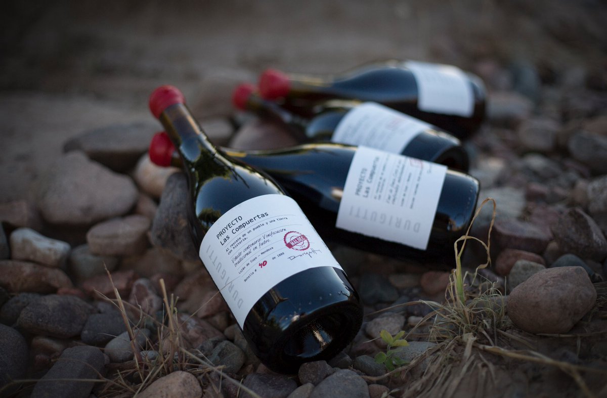 Compuertas bottles in vineyard.jpg