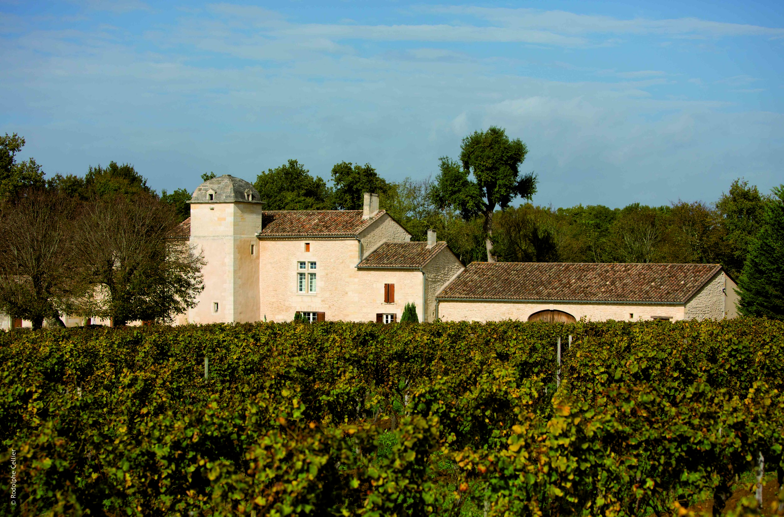 vineyards and chateau de laborde.jpg