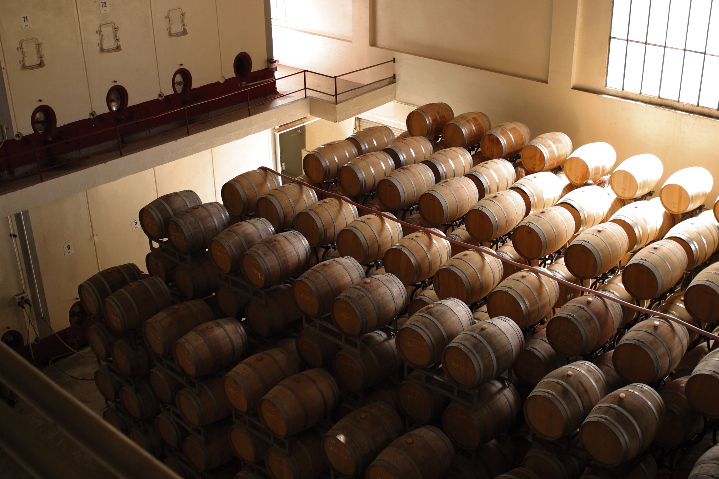 barrels in cellar.jpg