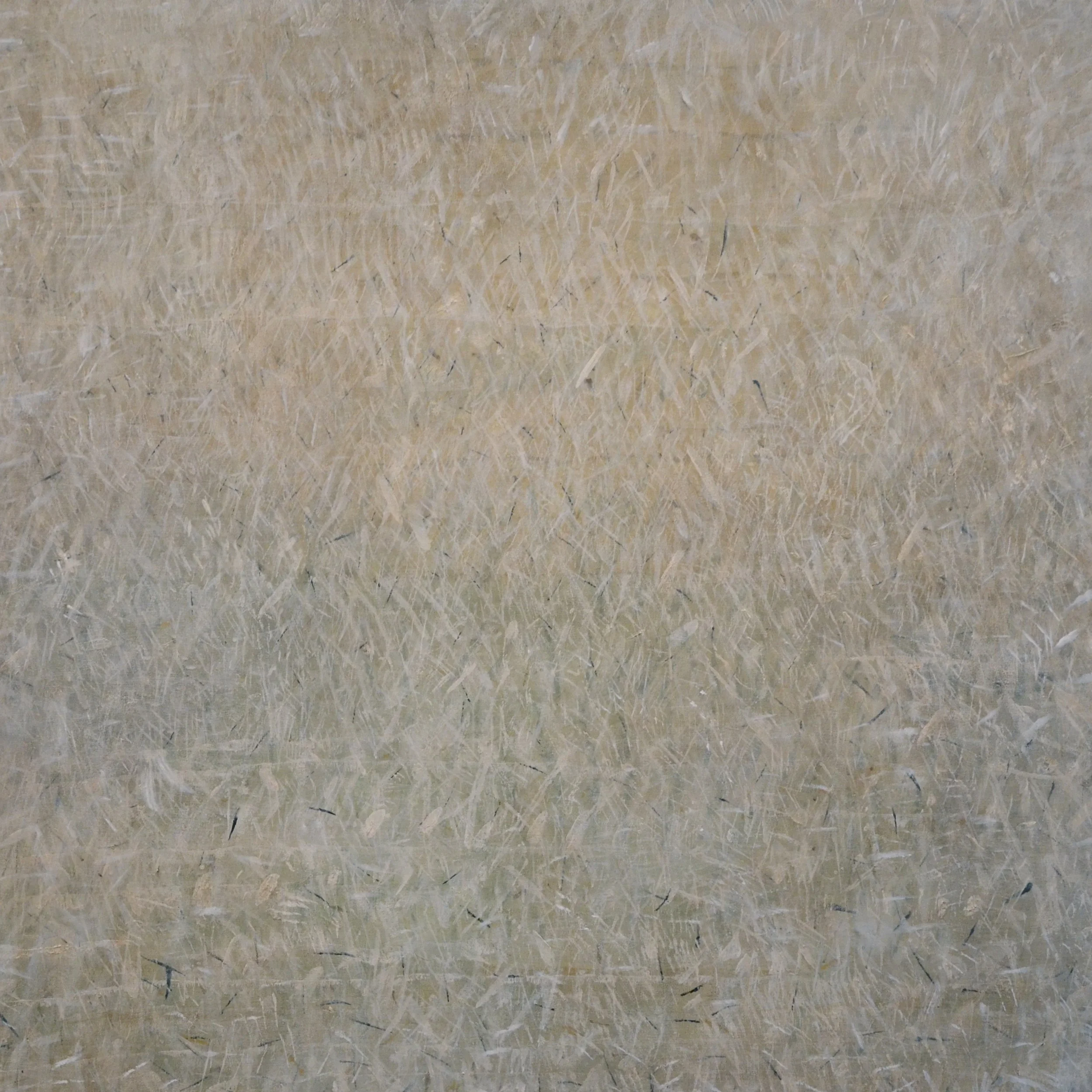 100 x 100 cm, acrylic on canvas, 2013.jpg