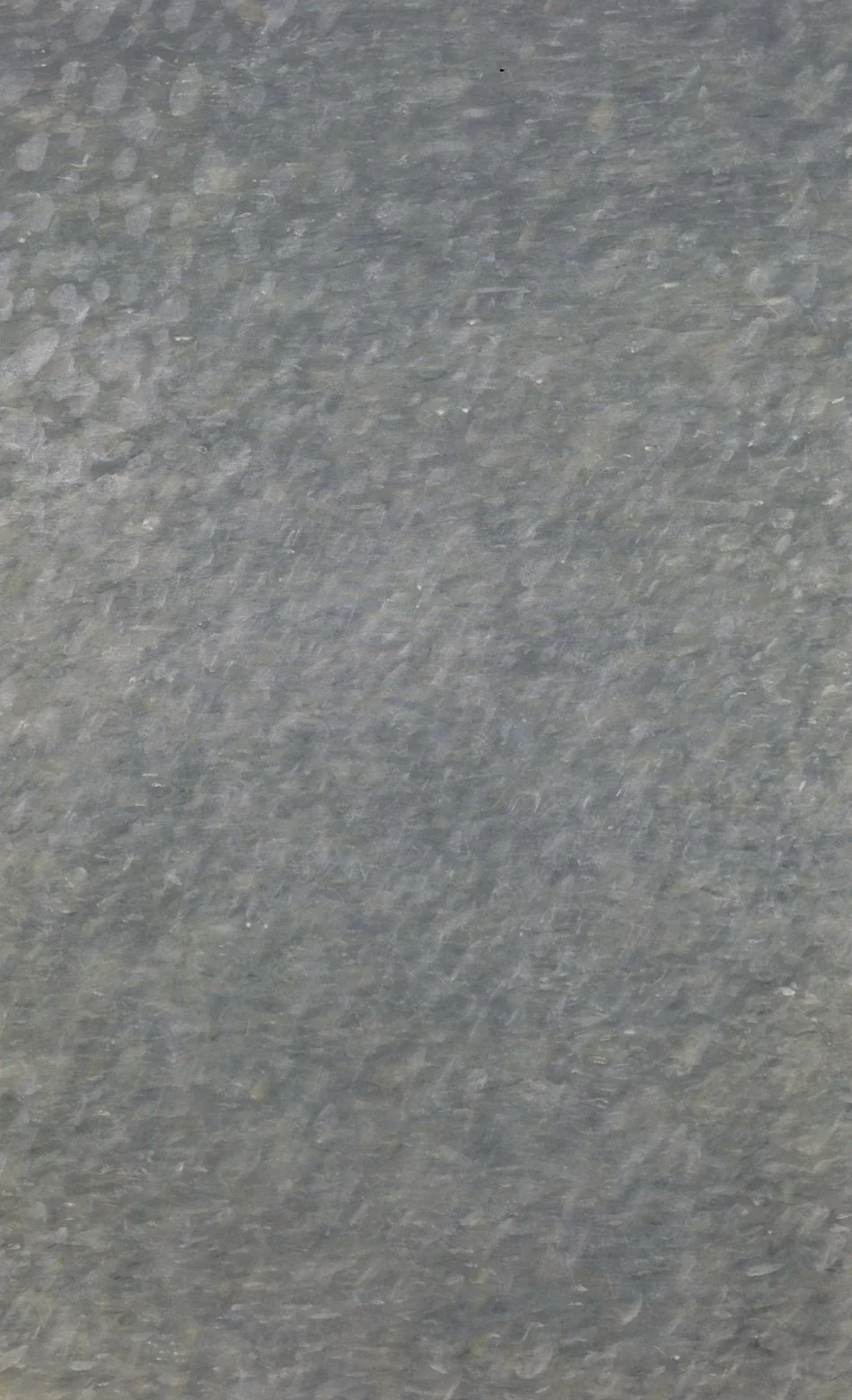 729316_10152526548900517_1918796260_o.jpg