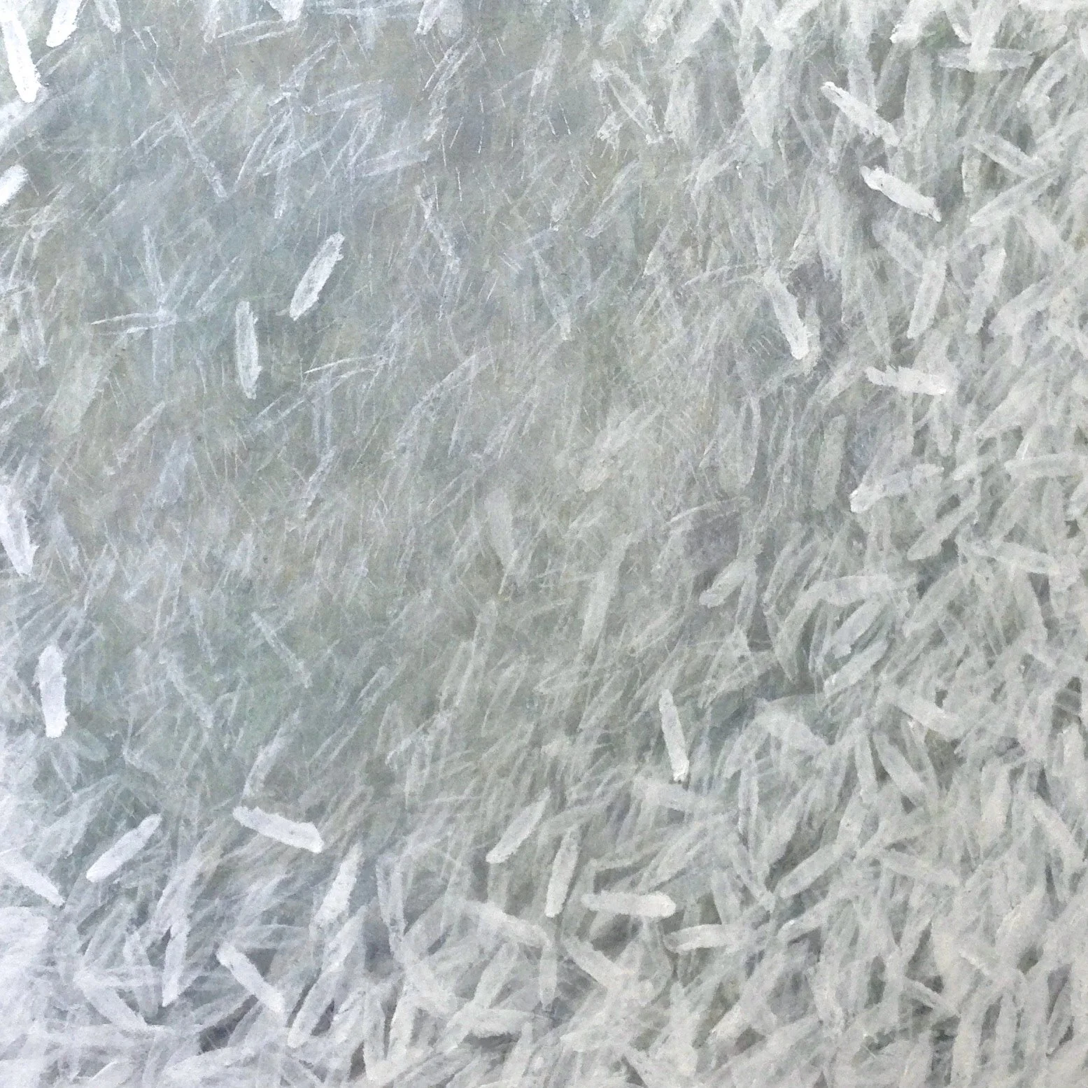 SangsaraAcrylic on canvas_100x100cm_2015.jpg