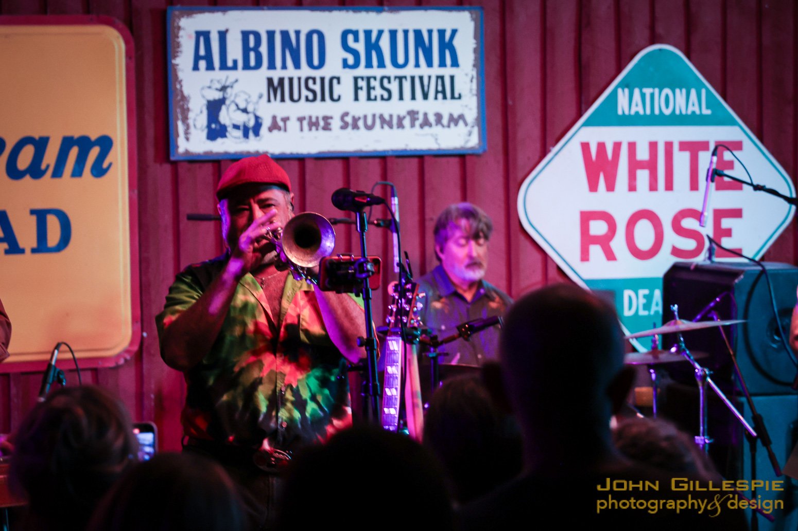 THE ALBINO SKUNK FESTIVAL, GREENVILLE, SC