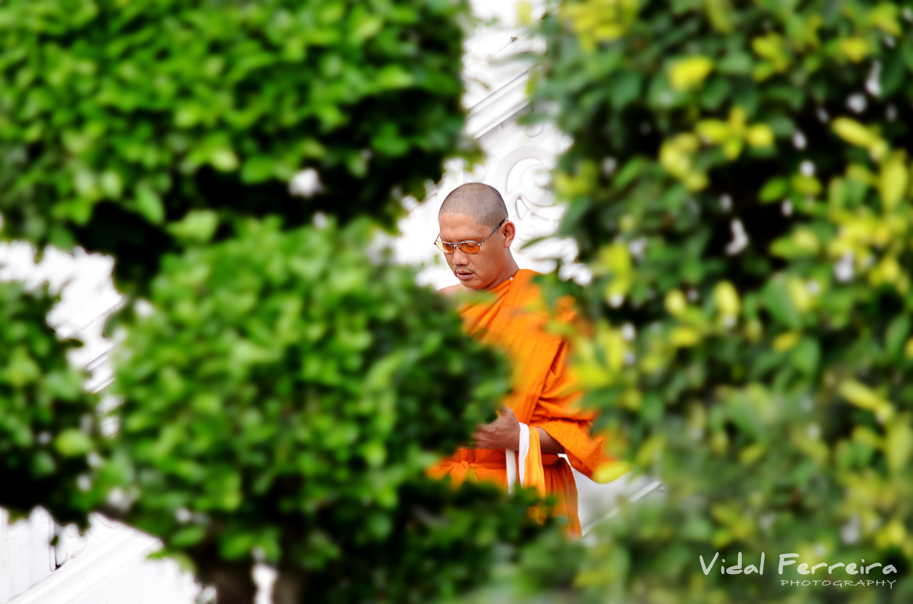 Devotion - Bangkok, Thalaind